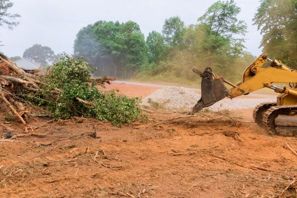 Ground Clearing in Waynesville
