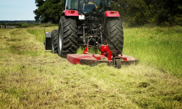 Brush Clearing Service in Waynesville