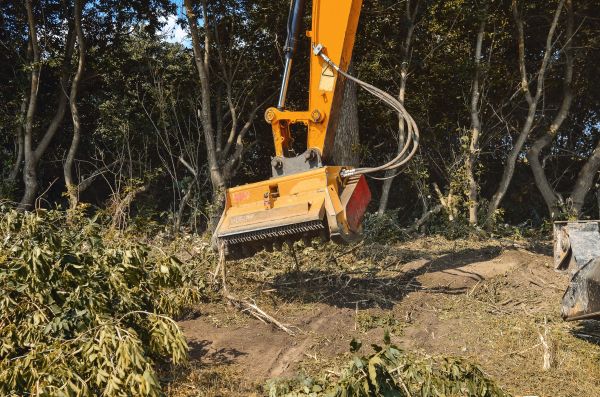 Brush Removal Service in Waynesville